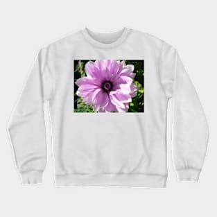 Purple Rannunculus Spring Flower Photo Crewneck Sweatshirt